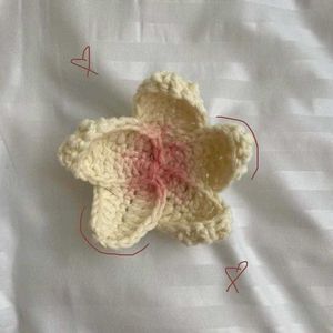 Crochet Flower Hairclip 💝