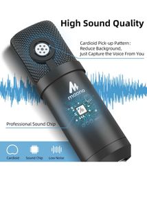 Professional Studio Microphone