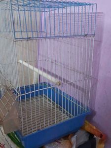 Cage For Birds