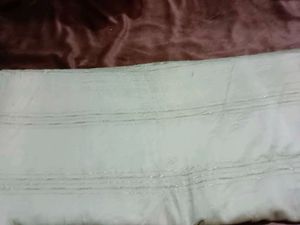 Mint Green Saree with Silver Details