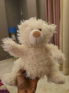 Cute White Teddy Bear