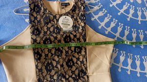 Elegant Lace Sheath Dress