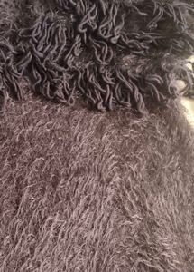 Unused Trendy Fuzzy Brown Top