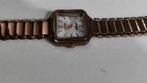 Brown Stainless Steel Watch | Women