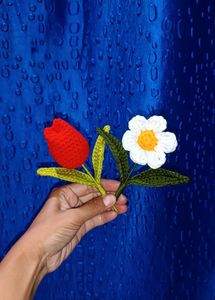 Crochet Fridge Magnets