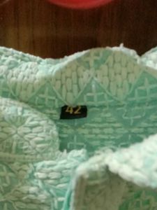 Elegant Light Green Kurta