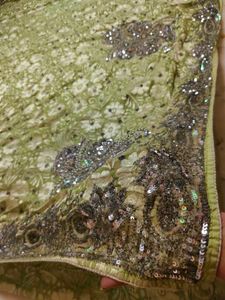 Pista Colour Very Heavy An Beautiful 😍 Saree