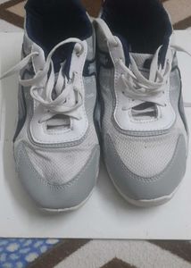 Gray &amp; White Fashion Sneakers