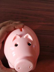 Pig Shaped Money Bank