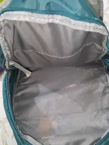 Skybags Backpack