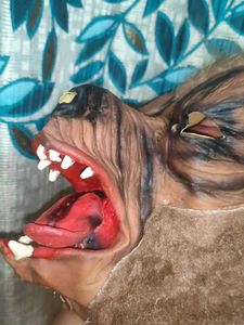 Mask