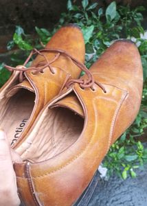 Brown Formal Shoes