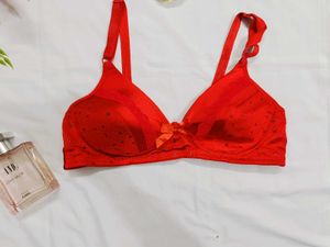 🇳🇿💫 Imported Stuff Paded Bra