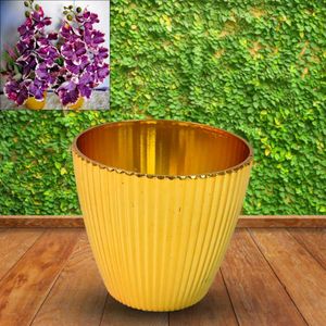 Plastic Flower Pot Valencia – Indoor &amp; Outdoor
