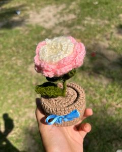Chrochet Pink Rose Pot
