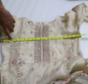 Organza Partywear Suit