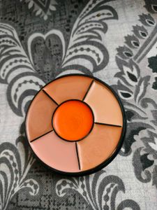 Insight Pro Concealer Palette