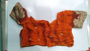 2 Sarees Two Blouses