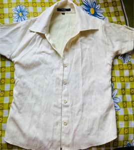 Cute Crop Shirt