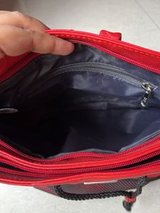 Baggit Bagpack