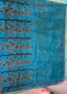 Organza  Saree. With Velevet Work.