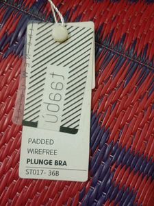 36B Padded Wire Free Bra