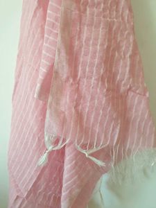 Pink Striped Suit