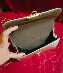 Stunning Silver Sling Bag