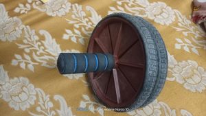 Weel Ab Roller With Knee Mat
