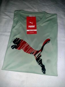 Round Neck Half Sleeve Tshirt