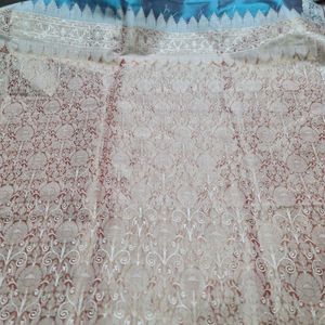 Beautiful &amp; Elegant Saree ✨️