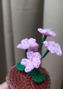Crochet Flower Pot (Forgot Me Not)