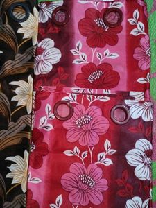 Curtain/ Parde