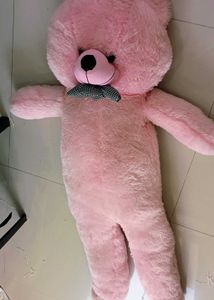 Cute Teddy Bear