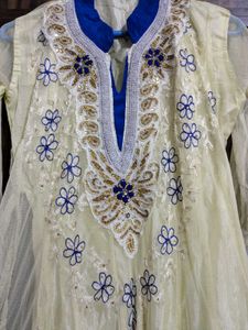 Elegant Embroidered Anarkali Dress