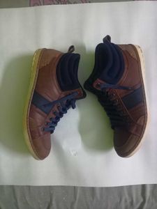 Brown & Navy High-Top Sneakers