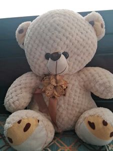 Cute Plush Teddy Bear