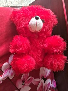 Teddy  Bear