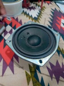 20 Watt Speaker