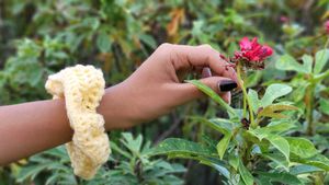 Handmade Crochet Scrunchie
