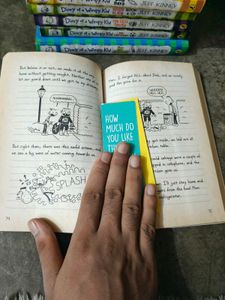 Diary Of A Wimpy Kid