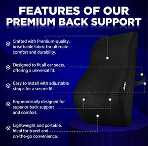 Car And Chair Back Support