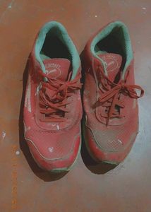 Men Shoes