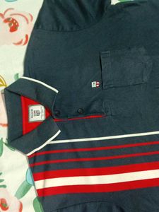 Striped Polo Shirt