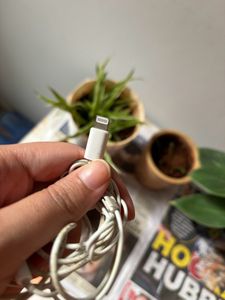 Original iphone earphones