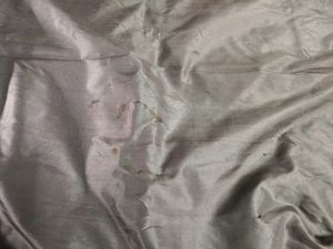 Vintage Paithani Saree
