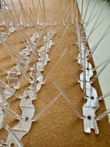 Anti-Pigeon Spikes