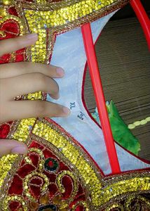 Elegant Anarkali Suit