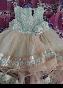 Adorable Floral Tulle Dress