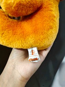 Cute Teddy Bear with Hat